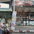 코끼리투어 이미지