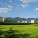 송정리 고인돌 이미지