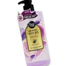 레몬향데이지 이미지