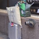 헤어아티스트 | My Wed- story15: 웨딩야외스냅 헤어변형 후기 _ 아티스트 최연우(오락필름 제휴)