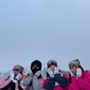 [평창 휘닉스파크 렌탈샵] “W스키” 의류렌탈, 장비렌탈, 스키/보드 강습, 리프트권 할인