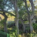 숲안경로당 이미지