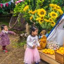 조천농장 이미지