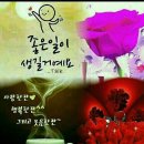 송연 이미지