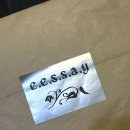 Review :: 에세이 e.e.s.s.a.y 세라픽 티셔츠 후기