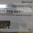섬진강누룩꽃