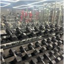 어시스트 짐 이미지