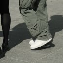 늑대와 여우 이미지