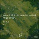정주 RIP 총총 ㅂㅊ 이미지