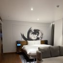 노보텔 앰배서더 서울 동대문 레지던스 | 노보텔 앰배서더 서울 동대문 호캉스 후기🍷 이그제큐티브 라운지 이용기