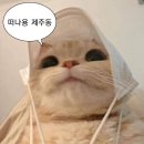 서귀포 자동차프라자 | [제주] 4박 5일간의 기록