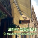 동코 | [체코 프라하 코젤로브나] 동유럽 신혼여행 | 체코 프라하 흑맥주 | 체코 맥주 맛집