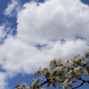 늘푸른 농장 이미지