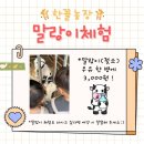 소우농장 | 무안 한꼴농장 광주근교 소우유주기체험 전남아이랑가볼만한곳