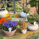 사자산달바위집 | 대형화원 파주 조인폴리아 봄맞이 식쇼핑 반려동물동반가능