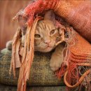 이훈20000 이미지