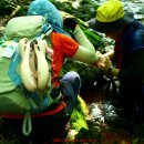 가리약수터 이미지