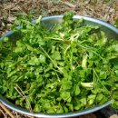 상희농장 이미지