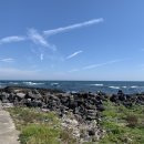 뚝방게스트하우스 이미지