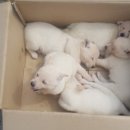 종기농장 이미지