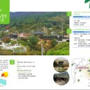 가야산칠불봉야생화마을 이미지