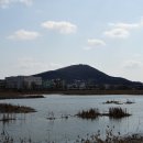 문발배수펌프장 이미지