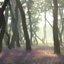 황성공원 시민운동장 이미지