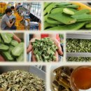 차동진농장 이미지