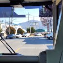 상주임업사 이미지