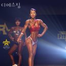 디에스짐 이미지