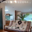 제주독채펜션돌집감성숙소돌담점 네이버블로그