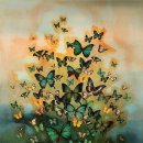 나비의꿈-호접지몽 이미지