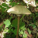 행복건강원 이미지