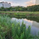 탄천종합운동장(스포츠센터) | 길: 자연탐방, 교량공사 현장, 탄천 생활체육 현장(동영상), 탄천종합운동장 축구장, 굿모닝파크 산책길