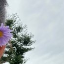 장원한정식 이미지