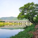 새마을교 이미지