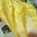 뚱띠 | 부산 구서 로컬맛집 구서 노포술집 뚱띠오돌뼈