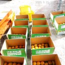 서촌농장 이미지