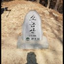 498차 3월 11일 소금산 (343m) 출렁다리 200M 이미지