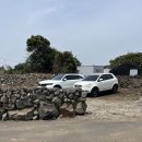 제주동쪽 성산 강아지 동반가능한 중국가정식 한상차림 로이앤메이