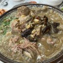 숲속예능어린이집 이미지