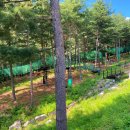 두루웰자연휴양림 이미지