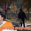 (주)소백산푸드