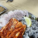 송백로-4 이미지