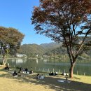브리끄(brique) 이미지
