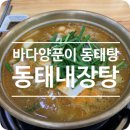 바다양푼이동태탕(김천혁신점) | <김천혁신 맛집> 술먹고 다음날 해장으로 먹기 좋은 바다양푼이 동태탕에서 동태내장탕!탕!탕!!