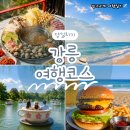 당일치기 여행 코스｜오봉이 해물칼국수, 안목해변 강릉네컷, 오죽헌 뱃놀이, 경포해변 산책, 버거웍스