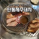 탄통제주돼지