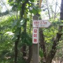 기룡산 등산로2 이미지