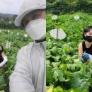 연하농장 이미지